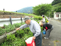 あさぎり菜園 2