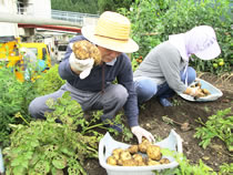 あさぎり菜園 5